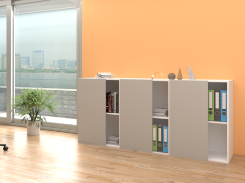 Libreria con anta bassa